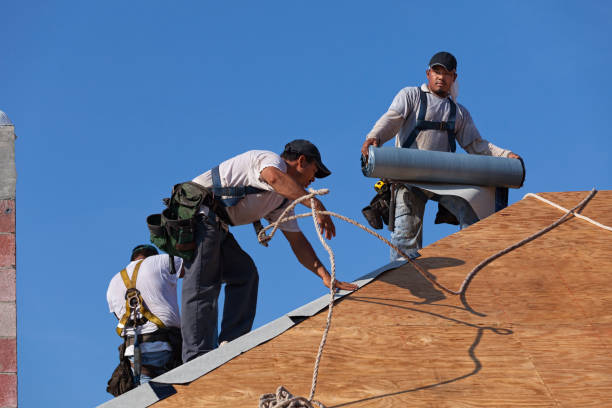 Roof Gutter Cleaning in Chatsworth, GA